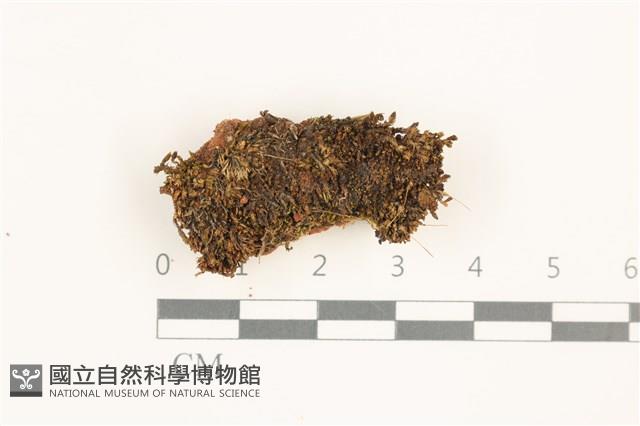 登錄號:B00012685藏品圖，第1張