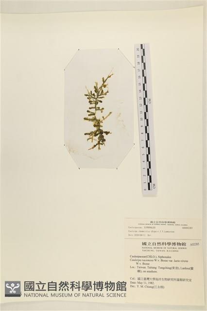 登錄號:A00002285藏品圖，第1張