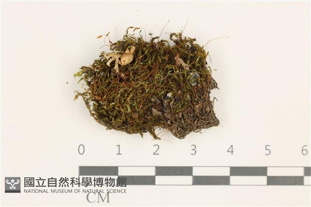 登錄號:B00005285藏品圖，第1張