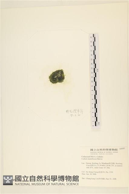 登錄號:A00006085藏品圖，第3張