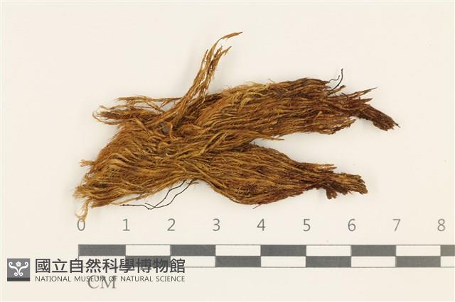 登錄號:B00018185藏品圖，第1張