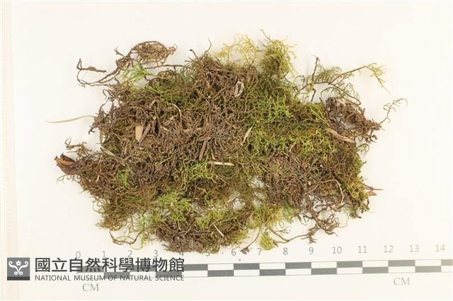 登錄號:B00006185藏品圖，第1張