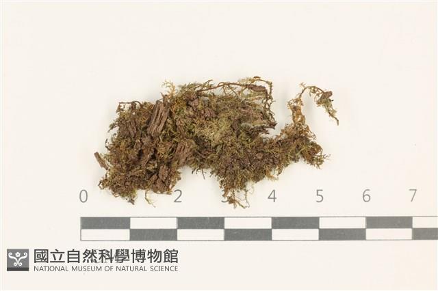 登錄號:B00015585藏品圖，第1張