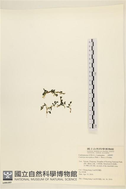 登錄號:A00006485藏品圖，第3張