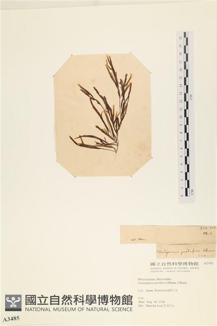 登錄號:A00003485藏品圖，第3張