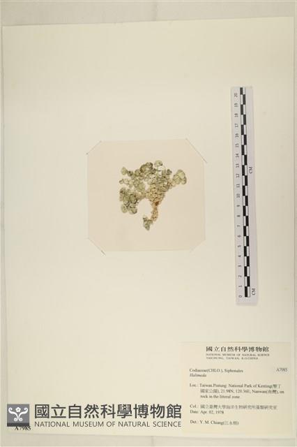 登錄號:A00007985藏品圖，第3張