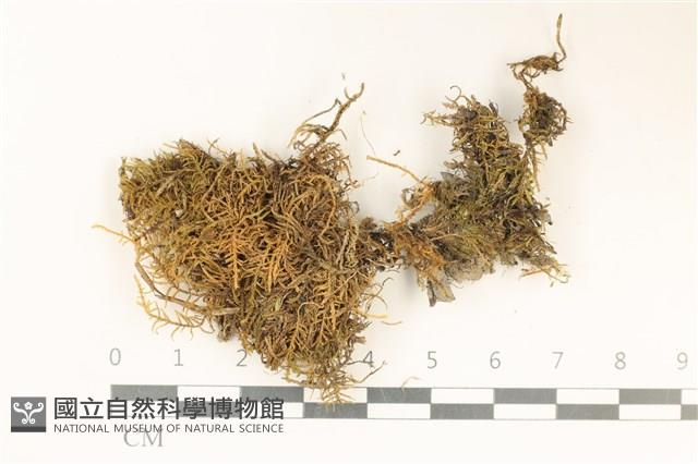 登錄號:B00012385藏品圖，第1張