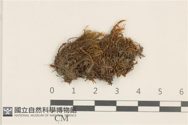 北方極地蘚藏品圖，第1張