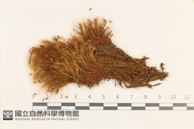 登錄號:B00001785藏品圖，第1張