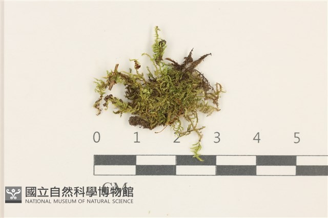 登錄號:B00014631藏品圖，第1張