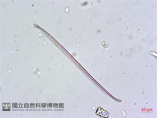 登錄號:A00004631藏品圖，第4張