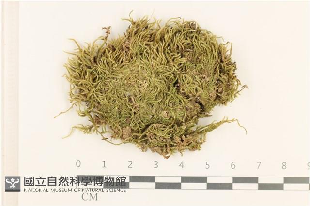 登錄號:B00017631藏品圖，第1張