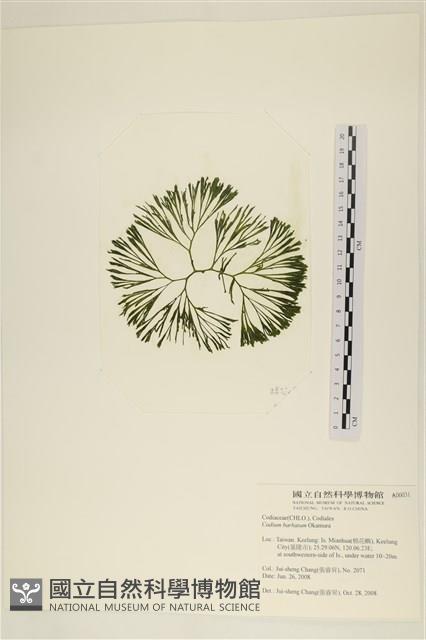 登錄號:A00006031藏品圖，第3張