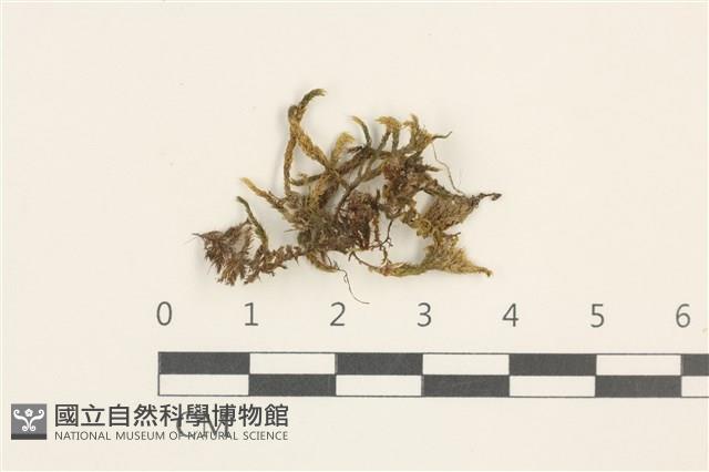 登錄號:B00015131藏品圖，第1張