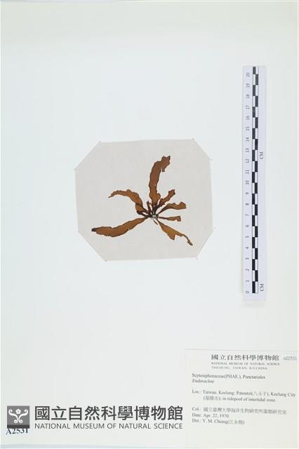 登錄號:A00002531藏品圖，第3張