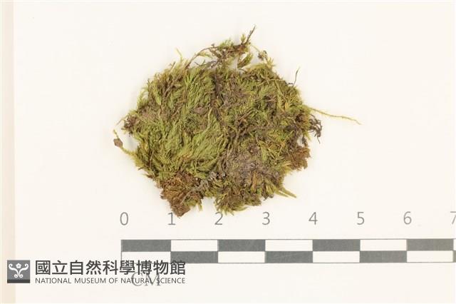 登錄號:B00015531藏品圖，第1張