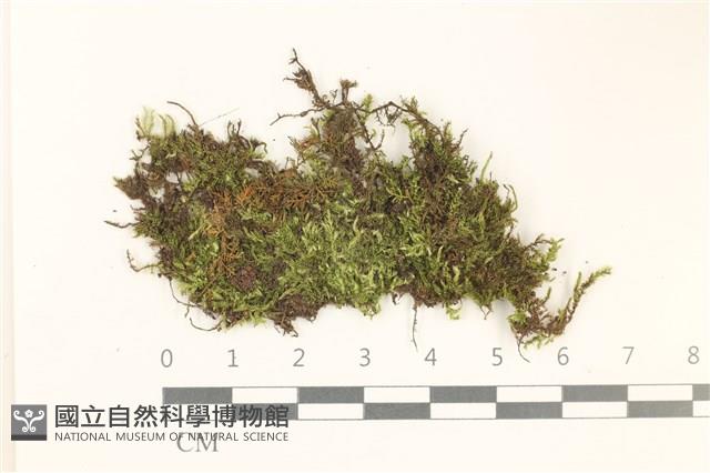 登錄號:B00012431藏品圖，第1張