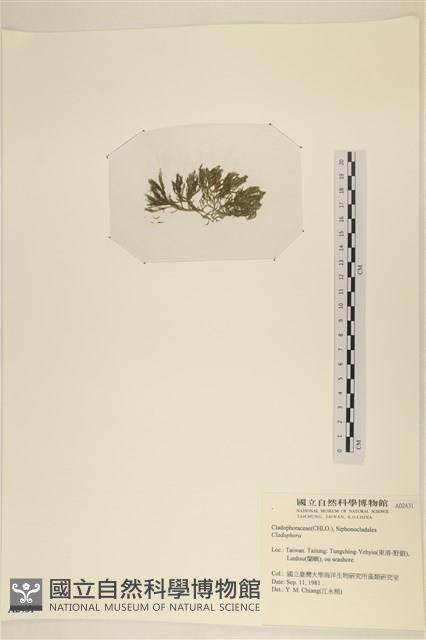 登錄號:A00002431藏品圖，第3張