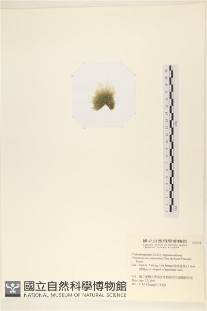 登錄號:A00002331藏品圖，第3張