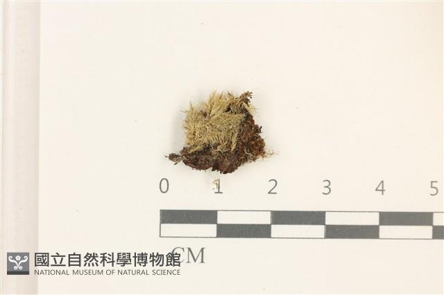 登錄號:B00004731藏品圖，第1張