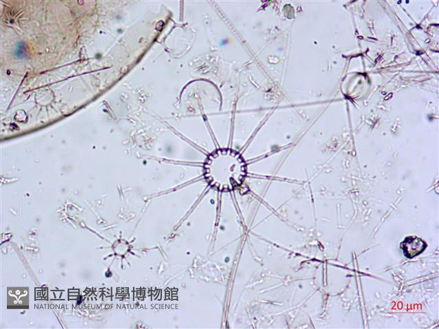 登錄號:A00004651藏品圖，第4張