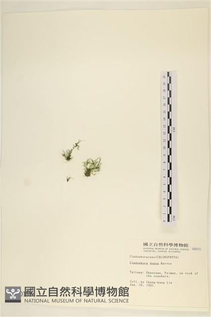 登錄號:A00000151藏品圖，第1張