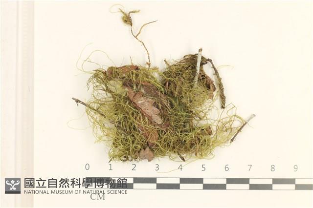 登錄號:B00011551藏品圖，第1張