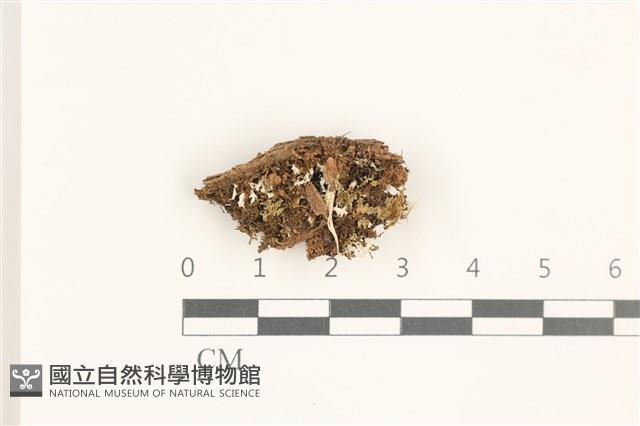 登錄號:B00019451藏品圖，第1張