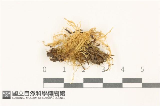 Accession Number:B00014451 Collection Image, Figure 1, Total 2 Figures