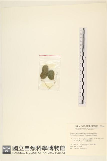 登錄號:A00001451藏品圖，第3張