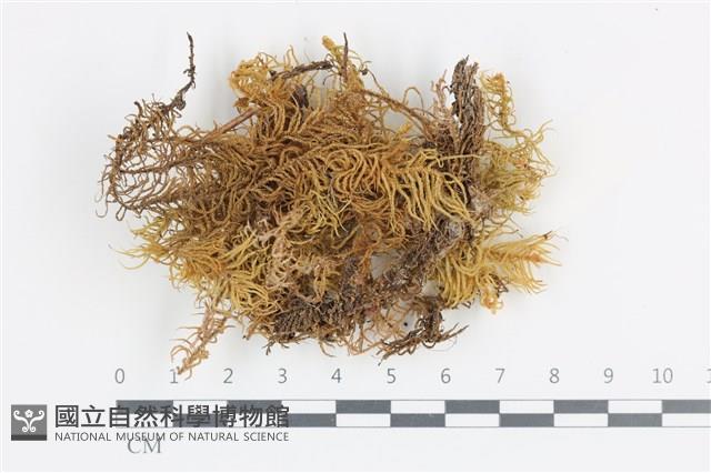 登錄號:B00003451藏品圖，第1張