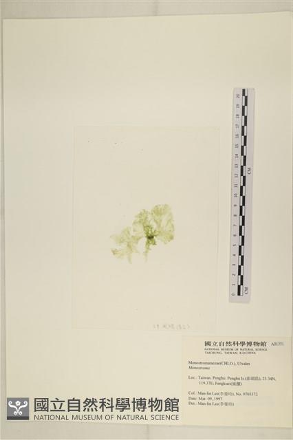 登錄號:A00001351藏品圖，第3張