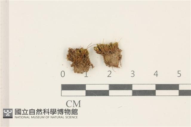 登錄號:B00002751藏品圖，第1張