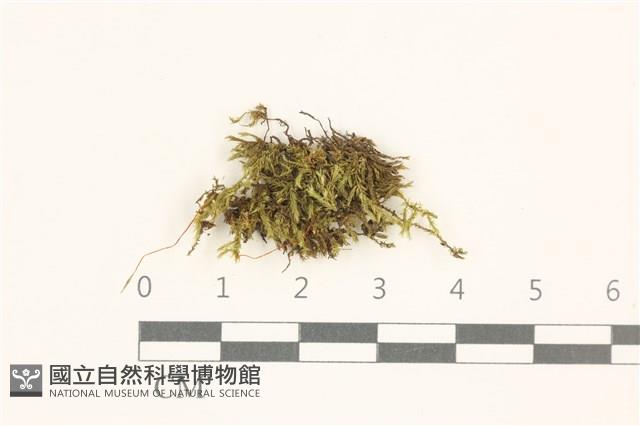 登錄號:B00014621藏品圖，第1張