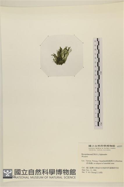 登錄號:A00002221藏品圖，第3張