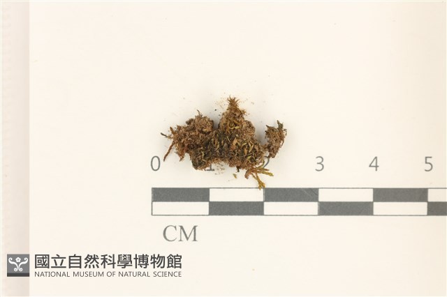 登錄號:B00015521藏品圖，第1張