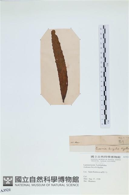 登錄號:A00003521藏品圖，第3張