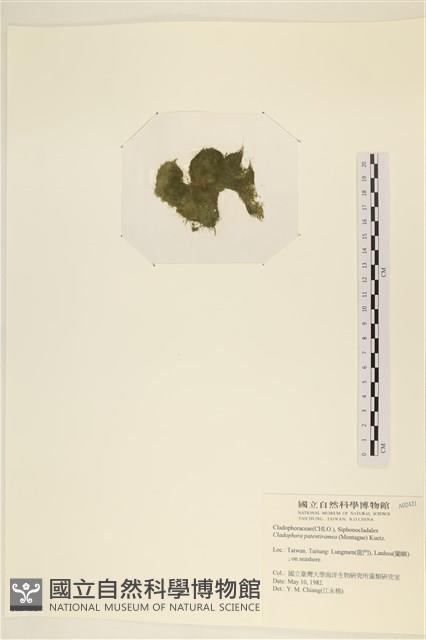 登錄號:A00002421藏品圖，第3張