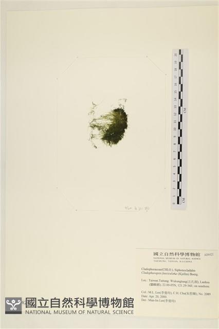 登錄號:A00004421藏品圖，第3張