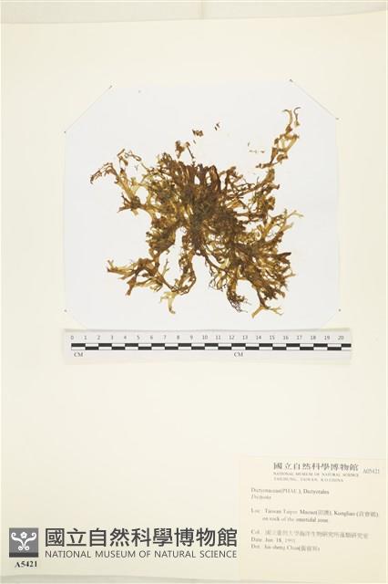 登錄號:A00005421藏品圖，第1張