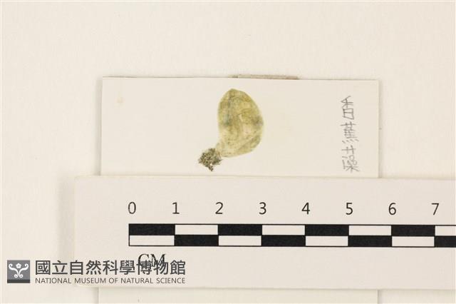 登錄號:A00006721藏品圖，第1張