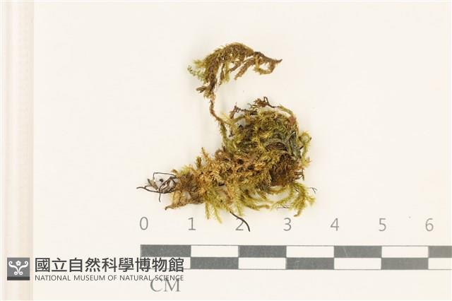 登錄號:B00021721藏品圖，第1張
