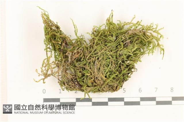 登錄號:B00011721藏品圖，第1張