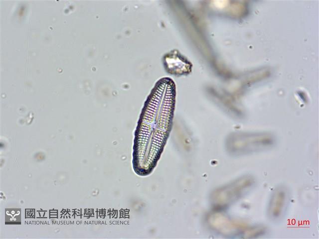 登錄號:A00004671藏品圖，第3張