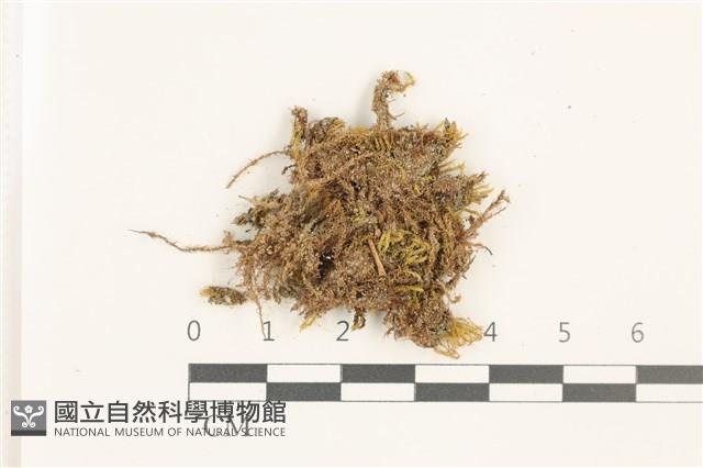登錄號:B00021671藏品圖，第1張