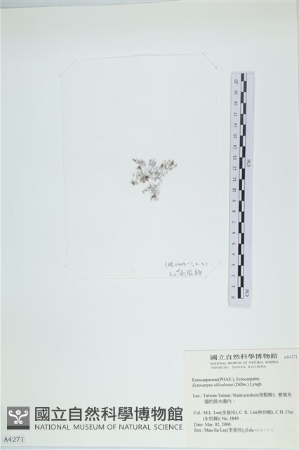 登錄號:A00004271藏品圖，第3張