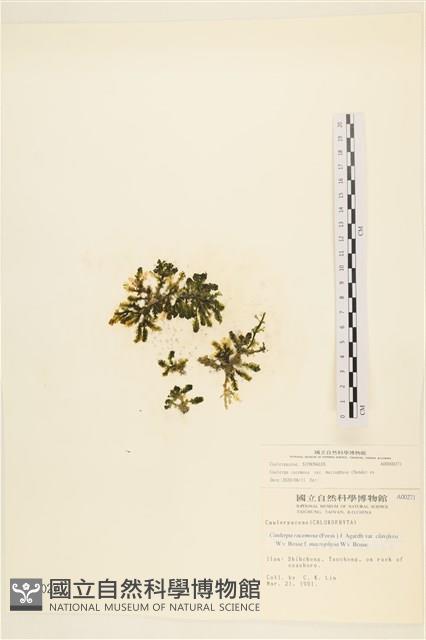 登錄號:A00000271藏品圖，第1張