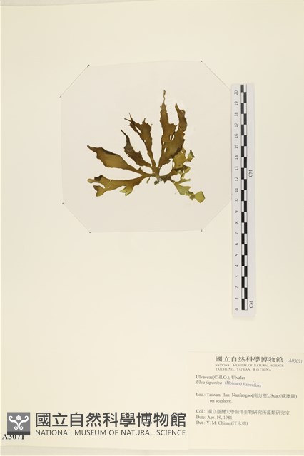 登錄號:A00003071藏品圖，第3張