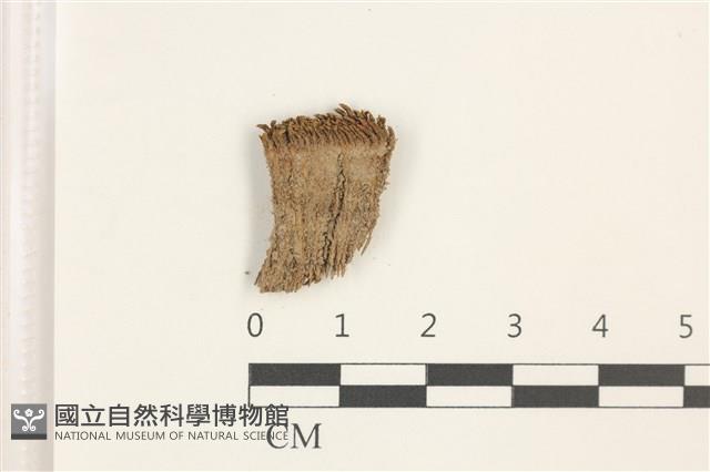 登錄號:B00018171藏品圖，第1張
