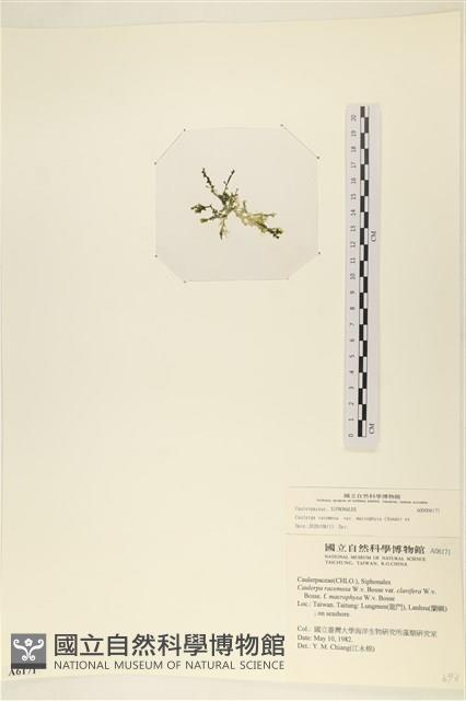 登錄號:A00006171藏品圖，第3張